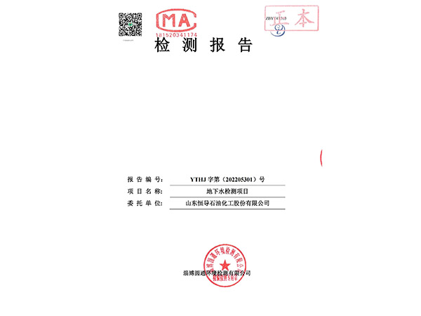 YTHJ字第（202205301）号山东恒导石油化工股份有限公司地下水检测项目检测报告
